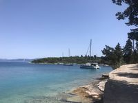 IMG_4600